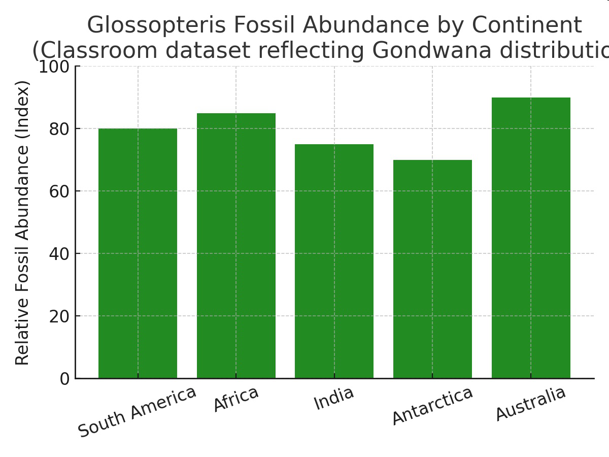 Bar graph titled 'Glossopteris Fossil Abundance by Continent (Classroom dataset reflecting Gondwana distribution)' showing relative fossil abundance index for South America, Africa, India, Antarctica, and Australia.