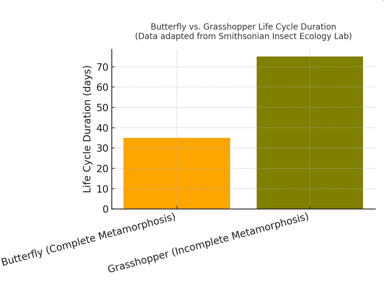 Bar graph comparing butterfly and grasshopper life cycle duration in days.