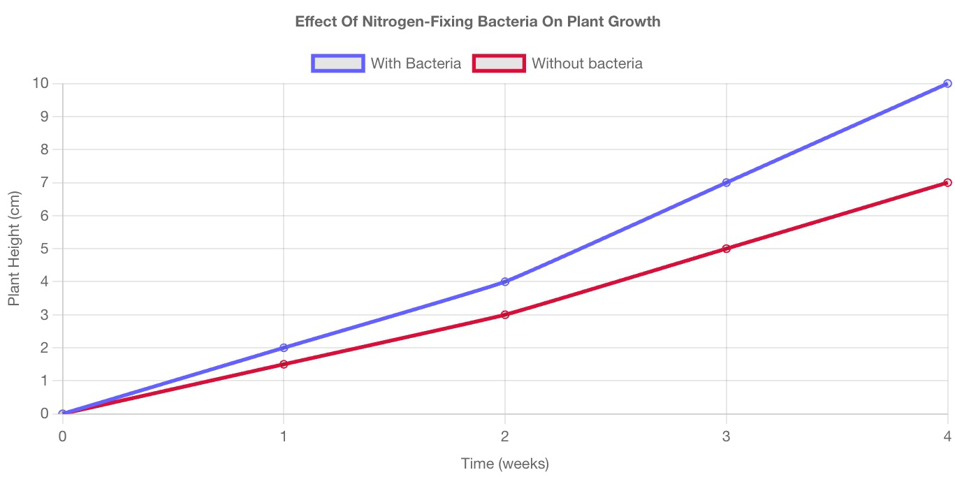 Line graph titled Effect Of Nitrogen-Fixing Bacteria On Plant Growth, showing plant height over four weeks for plants with and without bacteria.