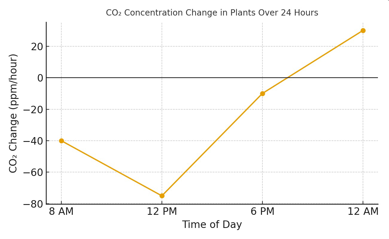 null Graph titled 'CO₂ Concentration Change in Plants Over 24 Hours' showing CO₂ change (ppm/hour) at 8 AM, 12 PM, 6 PM, and 12 AM.
