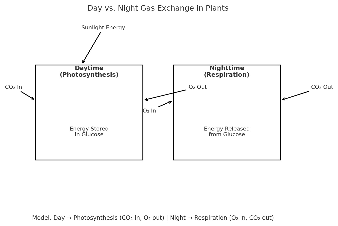 null Diagram showing daytime photosynthesis with CO₂ in and O₂ out, and nighttime respiration with O₂ in and CO₂ out in plants.