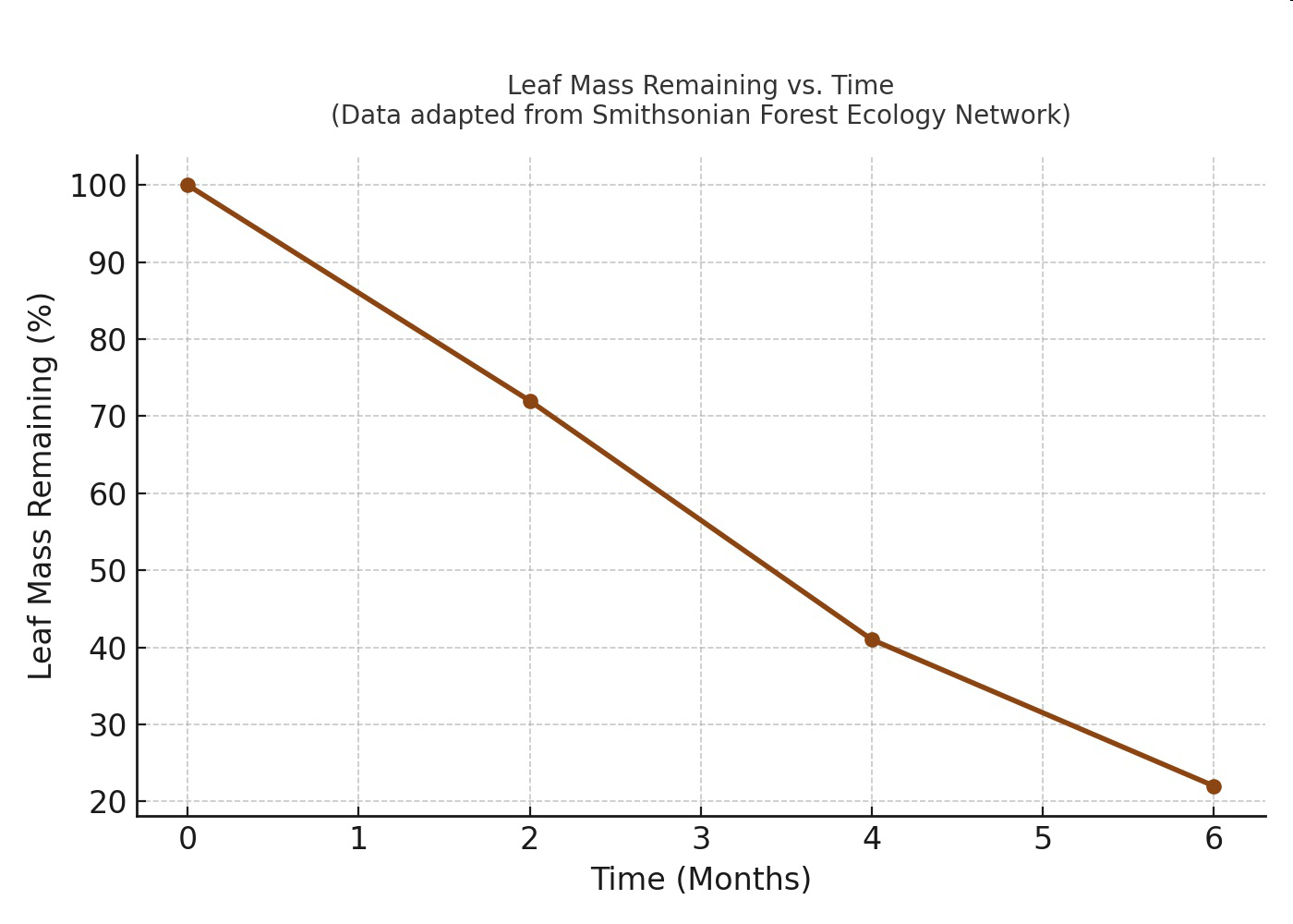 Graph showing leaf mass remaining vs. time in months.