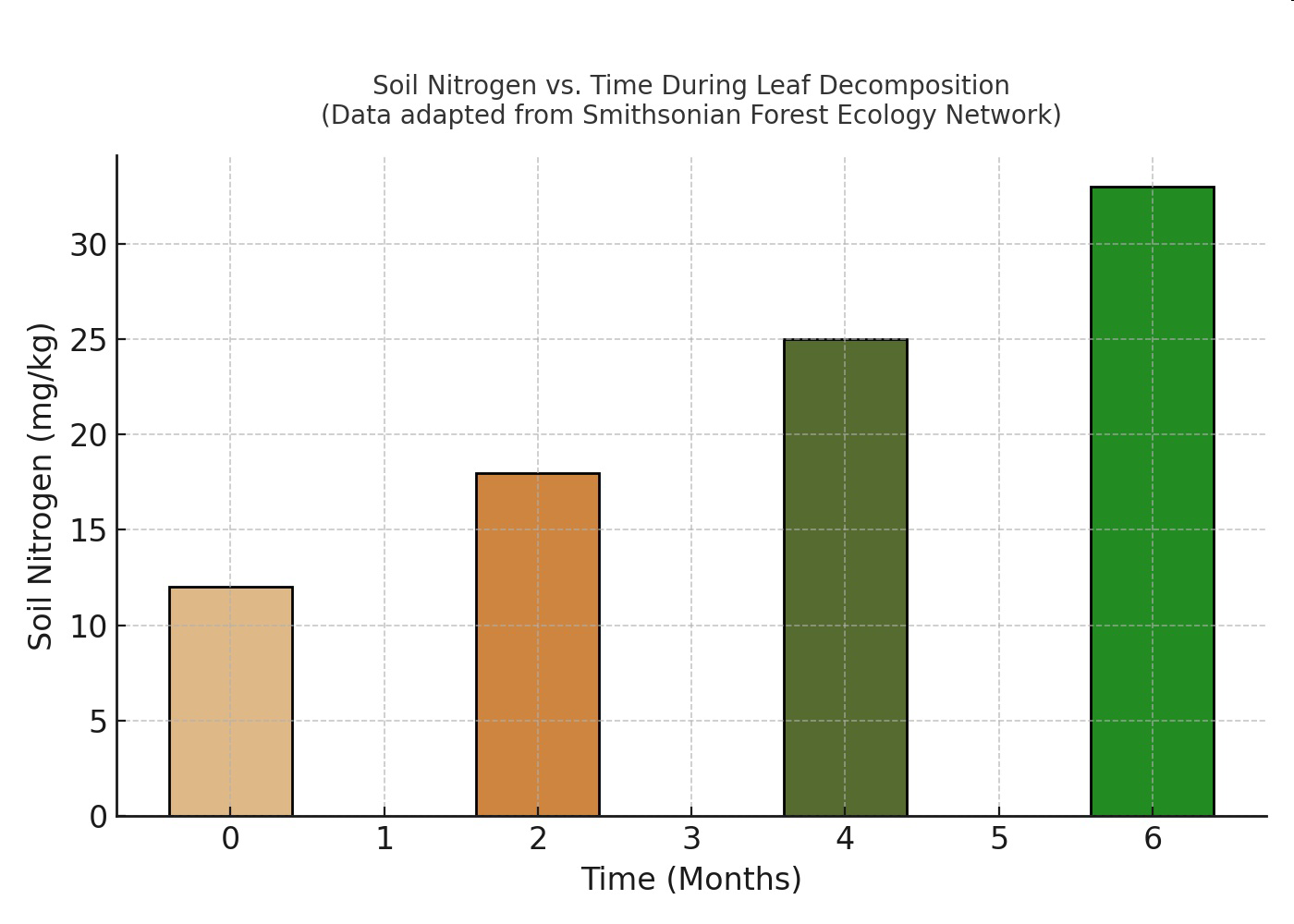 Bar graph showing soil nitrogen vs. time in months during leaf decomposition.