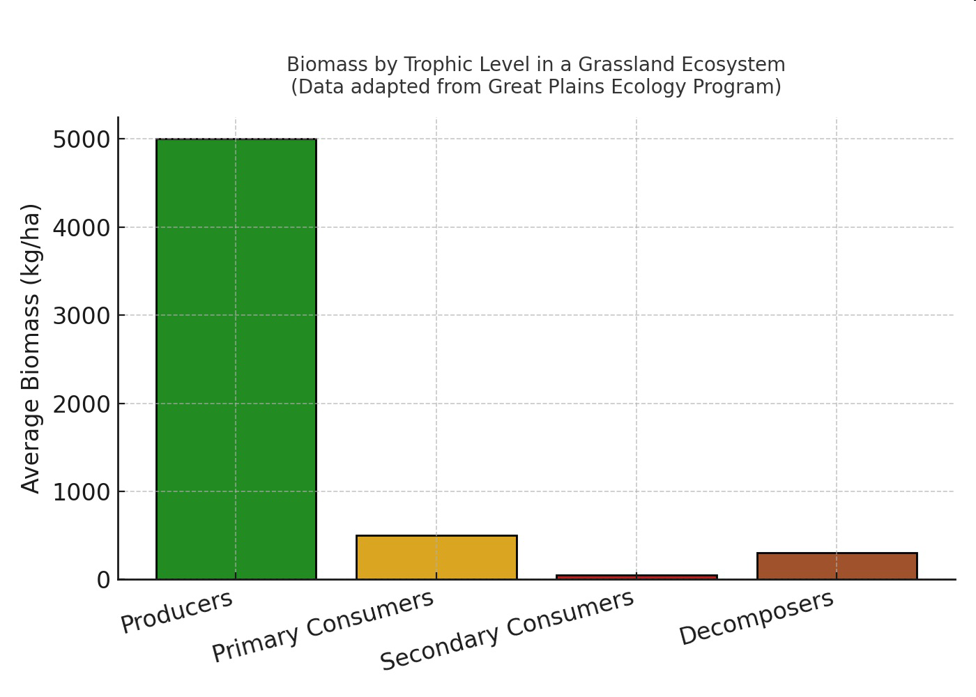 Biomass by trophic level in a grassland ecosystem bar graph showing average biomass for producers, primary consumers, secondary consumers, and decomposers.