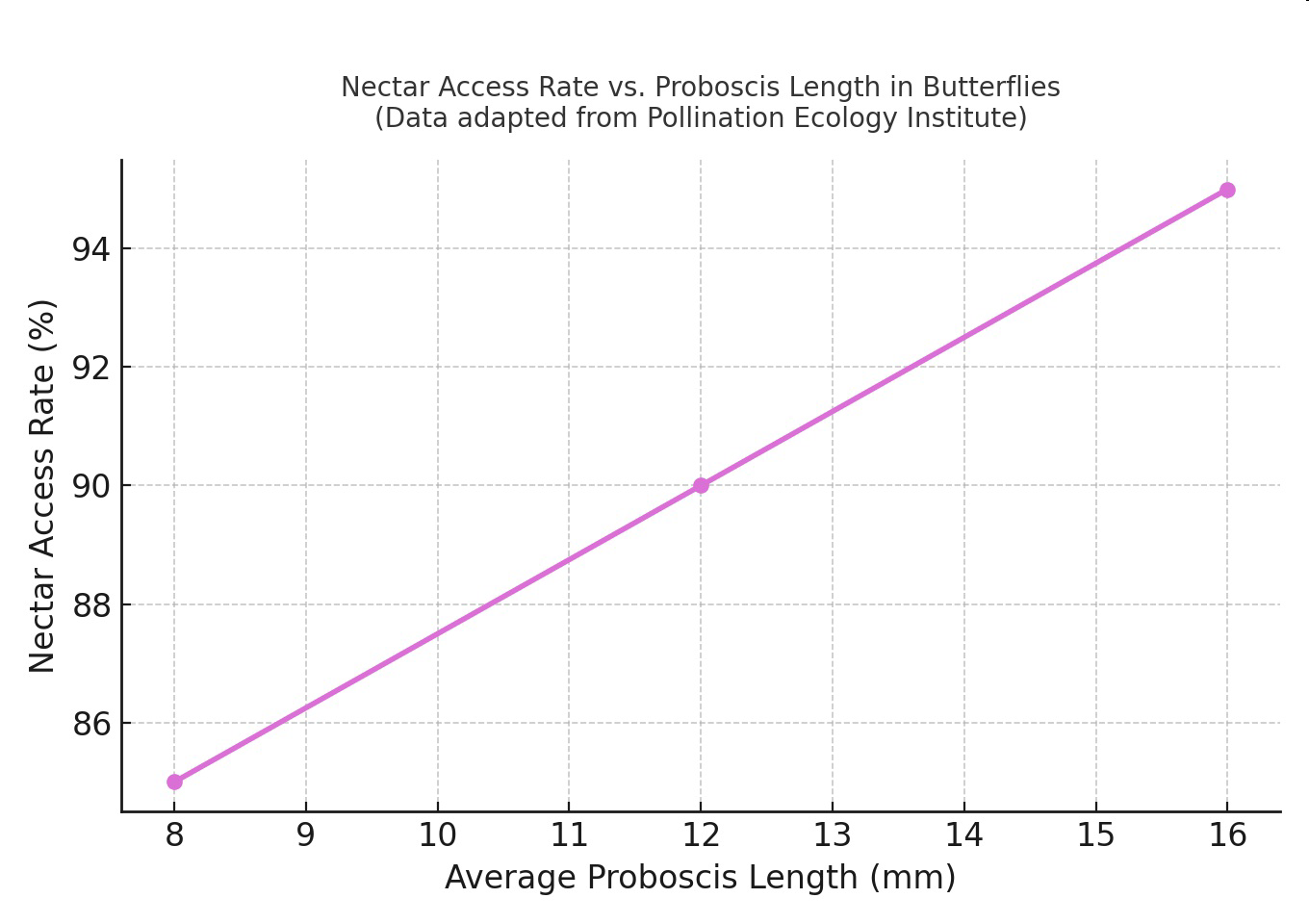 Nectar Access Rate vs. Proboscis Length in Butterflies