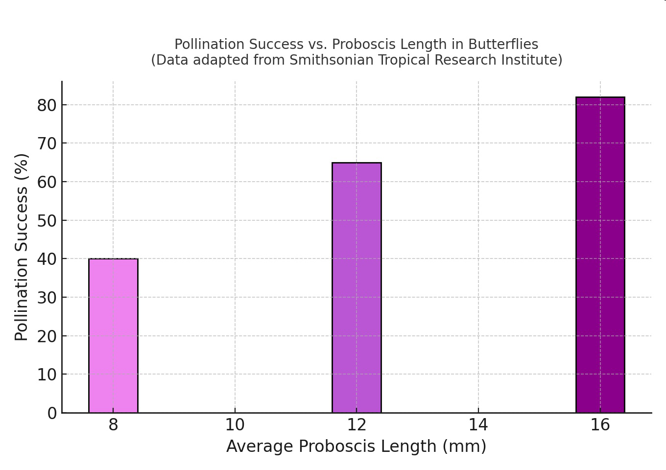 Pollination Success vs. Proboscis Length in Butterflies