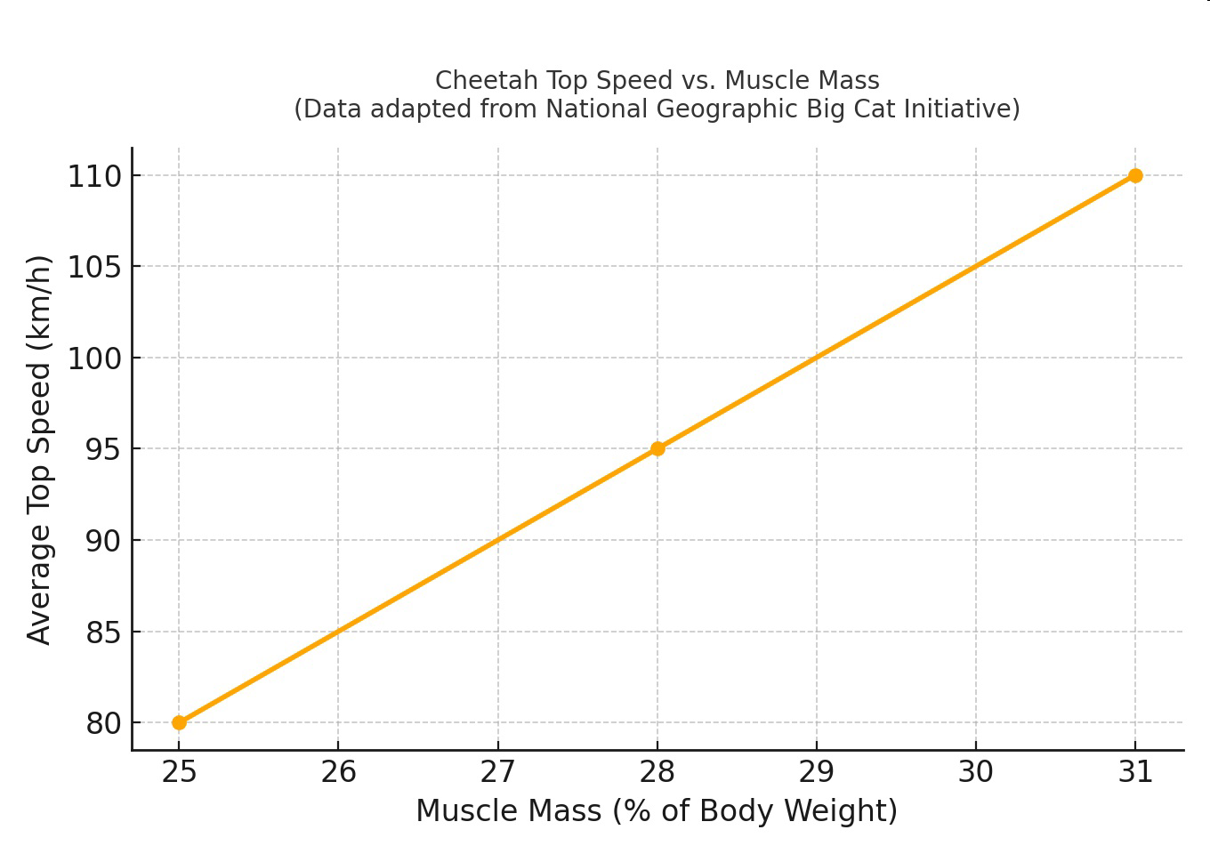 Graph of cheetah top speed vs. muscle mass