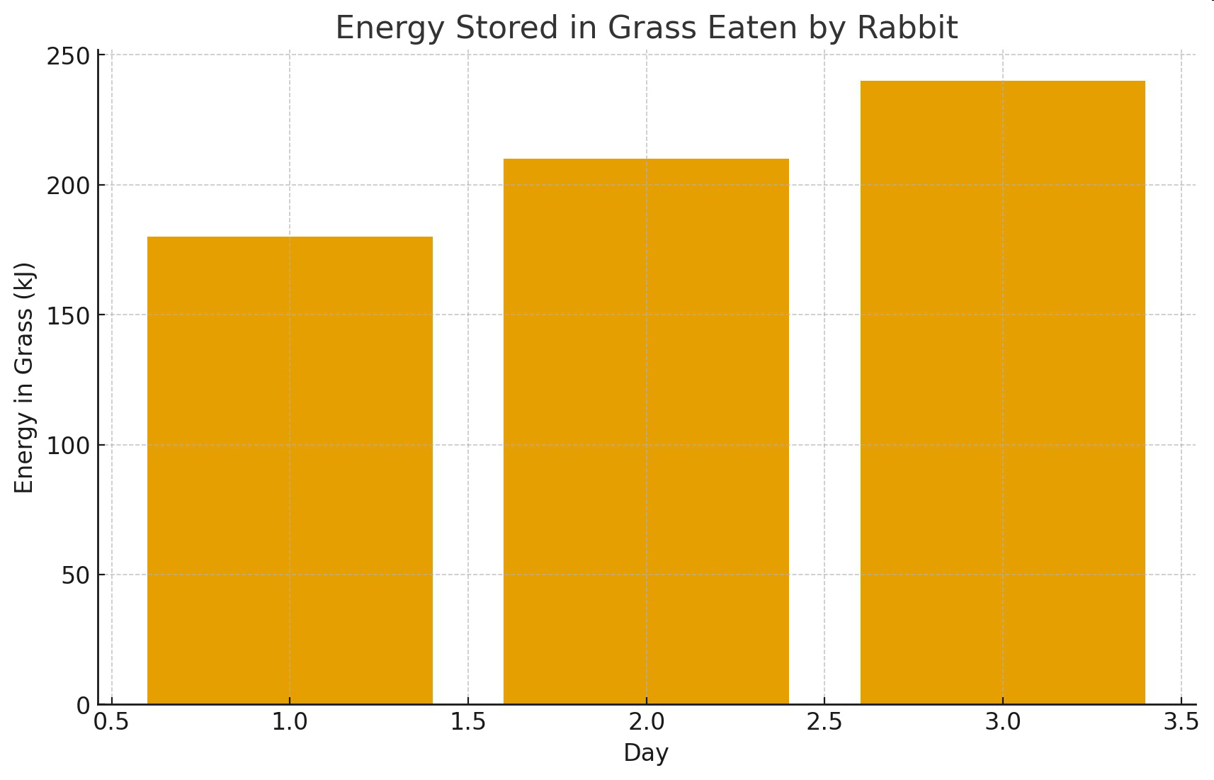 Graph of energy stored in grass eaten by rabbit over three days