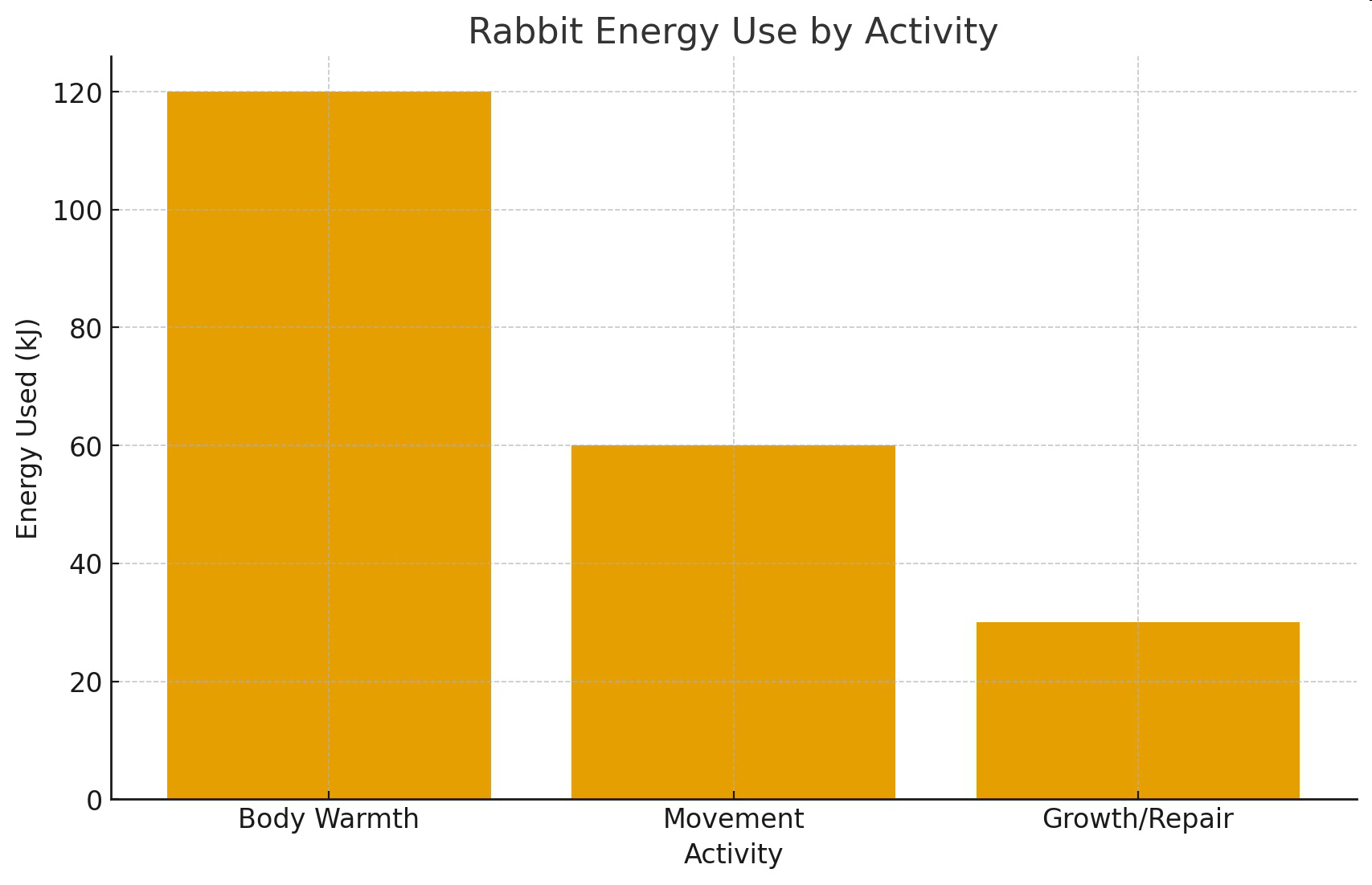 Graph of rabbit energy use by activity