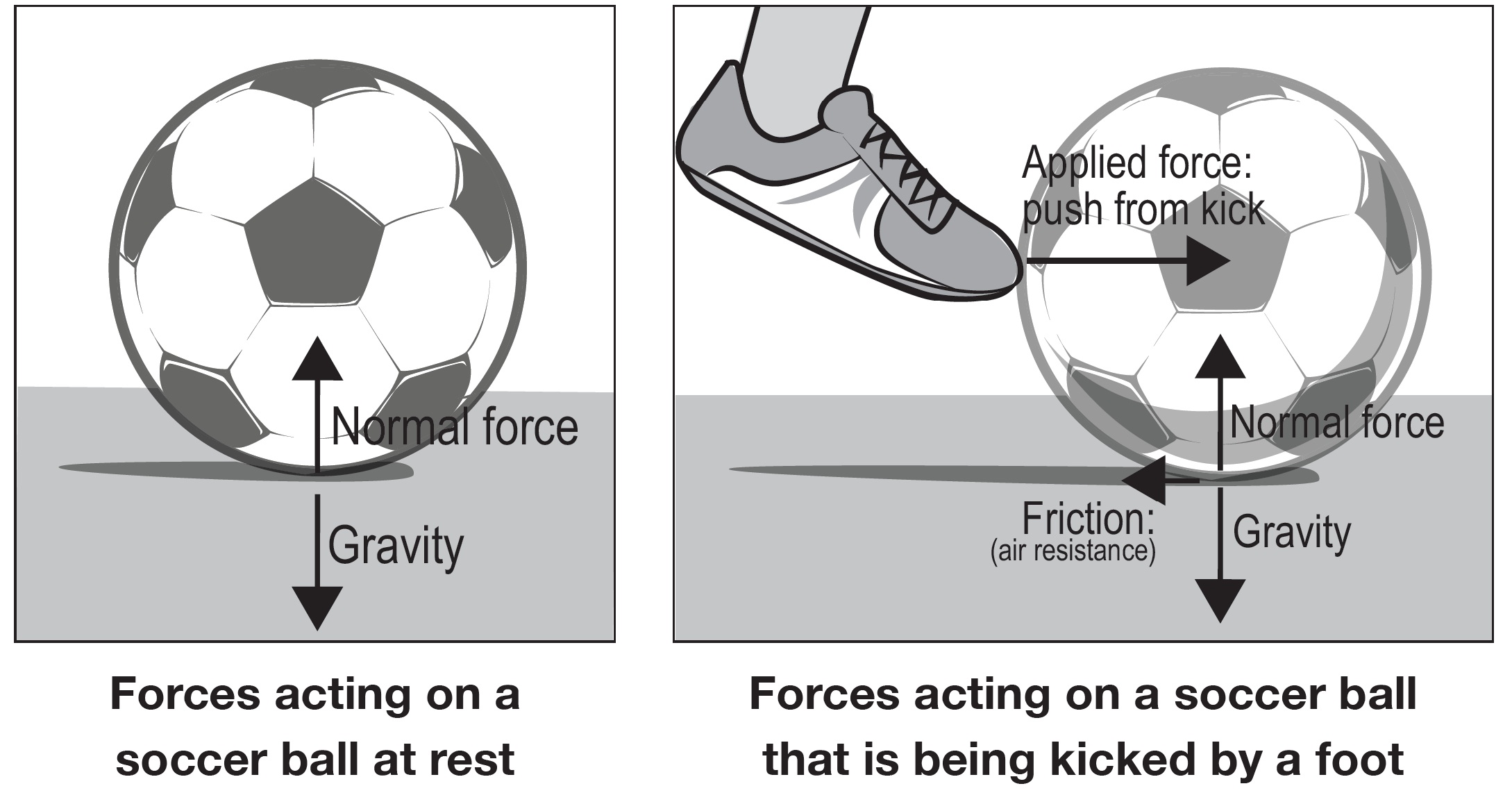 null Forces acting on a soccer ball at rest and forces acting on a soccer ball that is being kicked by a foot