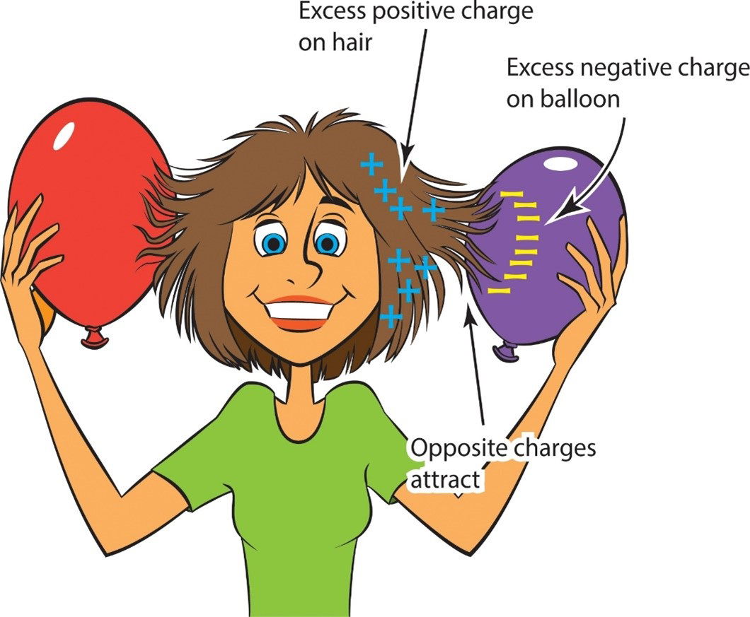 null Girl holding two balloons showing excess positive charge on hair, excess negative charge on balloon, and opposite charges attracting.