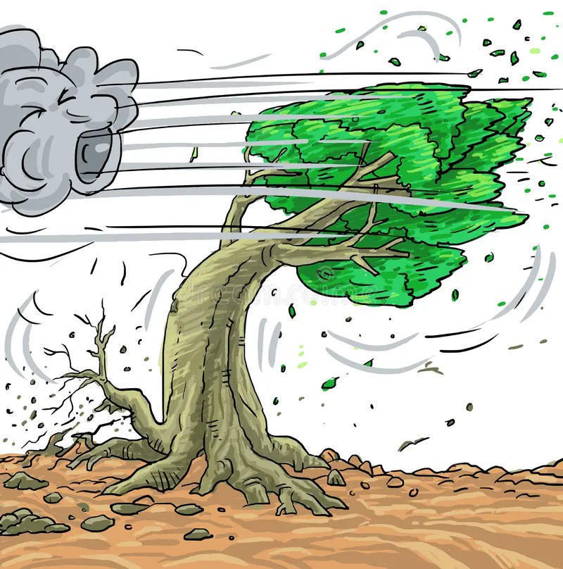 Strong wind blowing against a tree and bending it