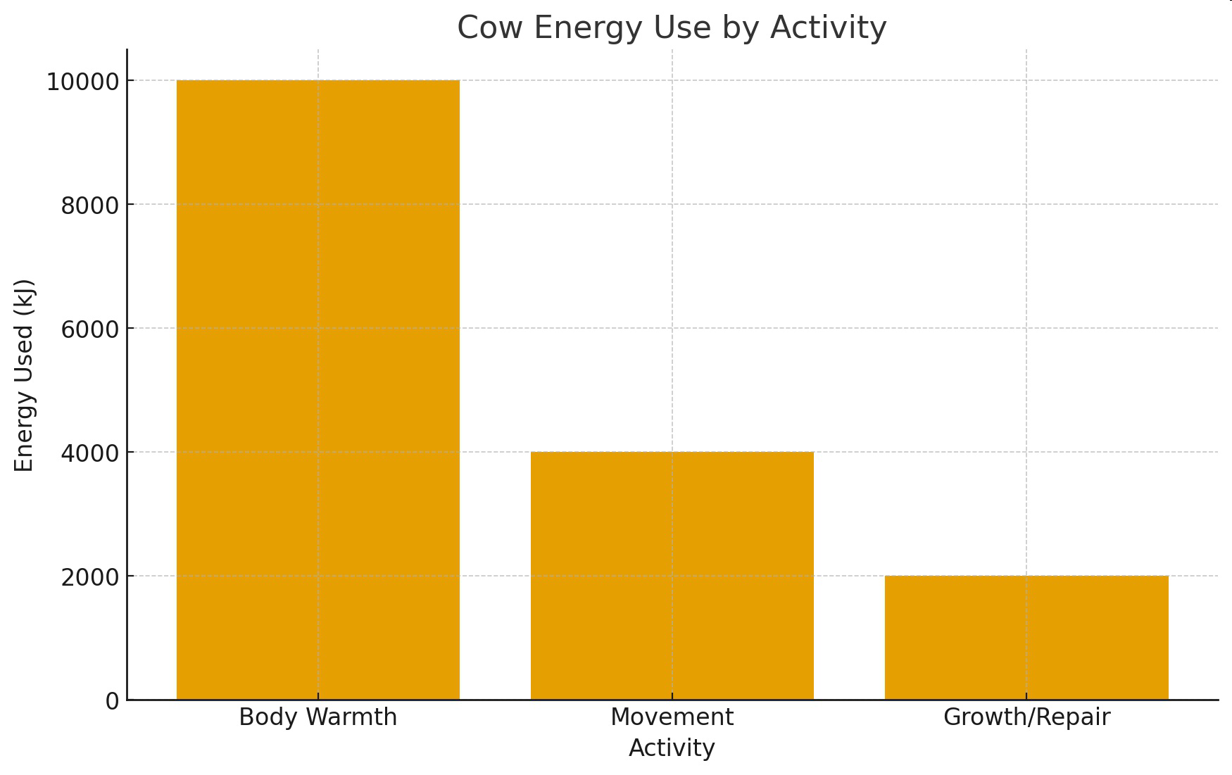 null Bar graph of cow energy use by activity: body warmth, movement, and growth/repair.
