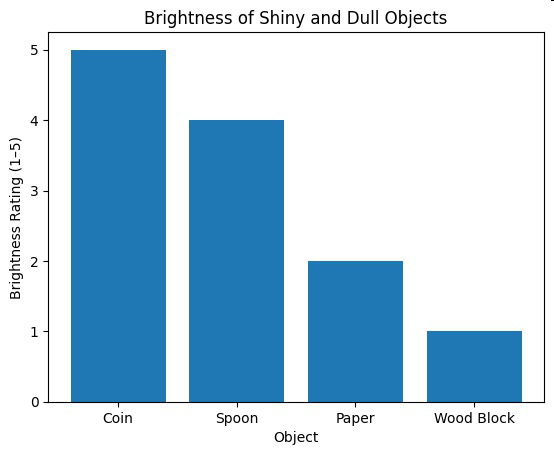 Bar graph titled 'Brightness of Shiny and Dull Objects' showing brightness ratings for Coin, Spoon, Paper, and Wood Block.