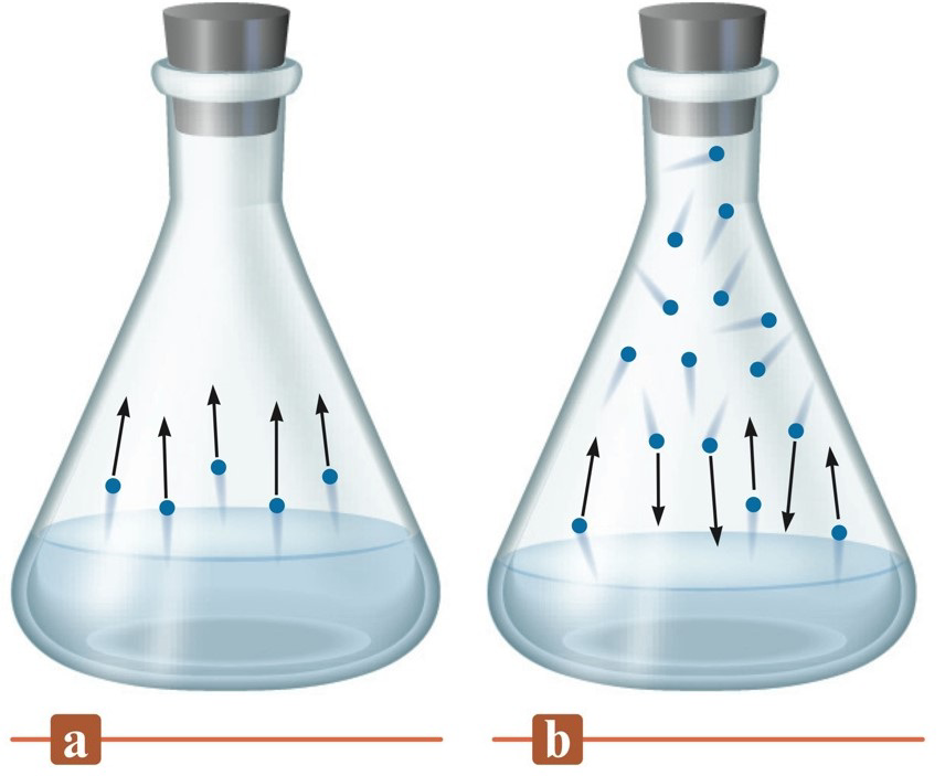 Two flasks labeled a and b, showing liquid water and water vapor particles with arrows.