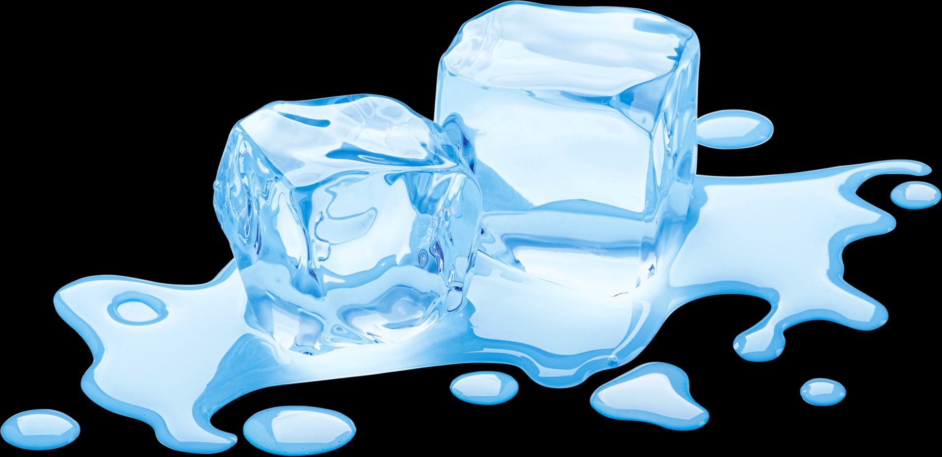 Ice cubes melting in a puddle of water