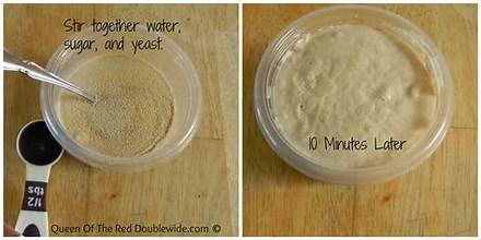 Two images showing yeast mixture before and after 10 minutes
