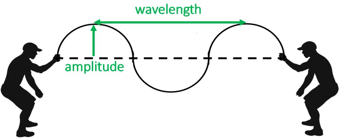 A rope wave showing amplitude and wavelength.