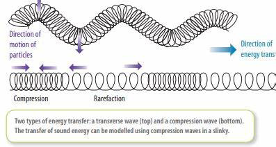Diagram showing transverse and compression waves in a slinky, including regions of compression and rarefaction.