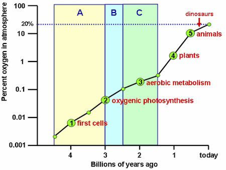 Graph showing changes in atmospheric oxygen over billions of years with major biological events labeled.