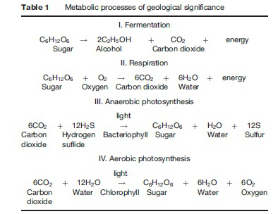 Table 1 Metabolic processes of geological significance