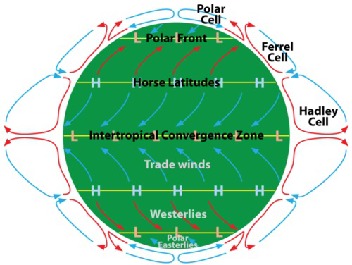 Diagram of atmospheric circulation cells showing direction of winds at Earth's surface