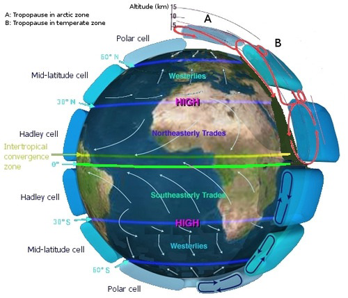 Diagram of the major global wind belts and circulation cells on Earth.