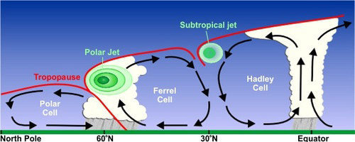 Cross section of the atmosphere with major circulation cells and jet streams.