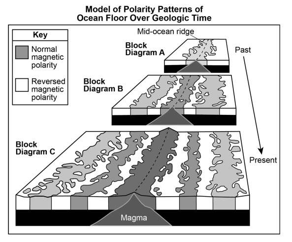Model of polarity patterns of ocean floor over geologic time showing mid-ocean ridge, magma, and normal and reversed magnetic polarity bands in block diagrams A, B, and C from past to present.
