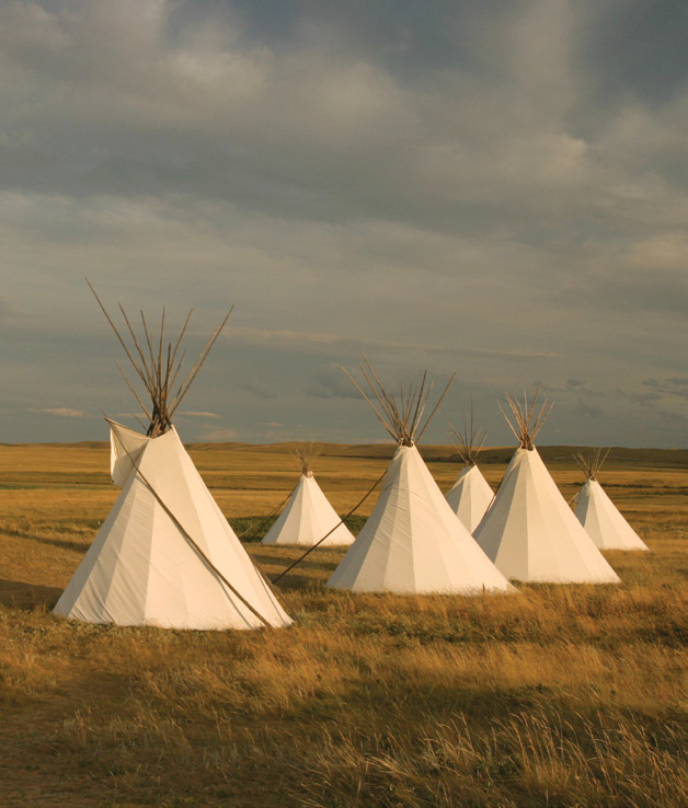 Tents made of cowhide on a grassy plain