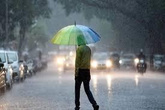 Persona caminando bajo la lluvia con paraguas.