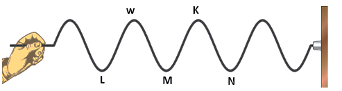A hand producing a transverse wave on a rope labeled W, K, L, M, and N, with the rope attached to a wall.