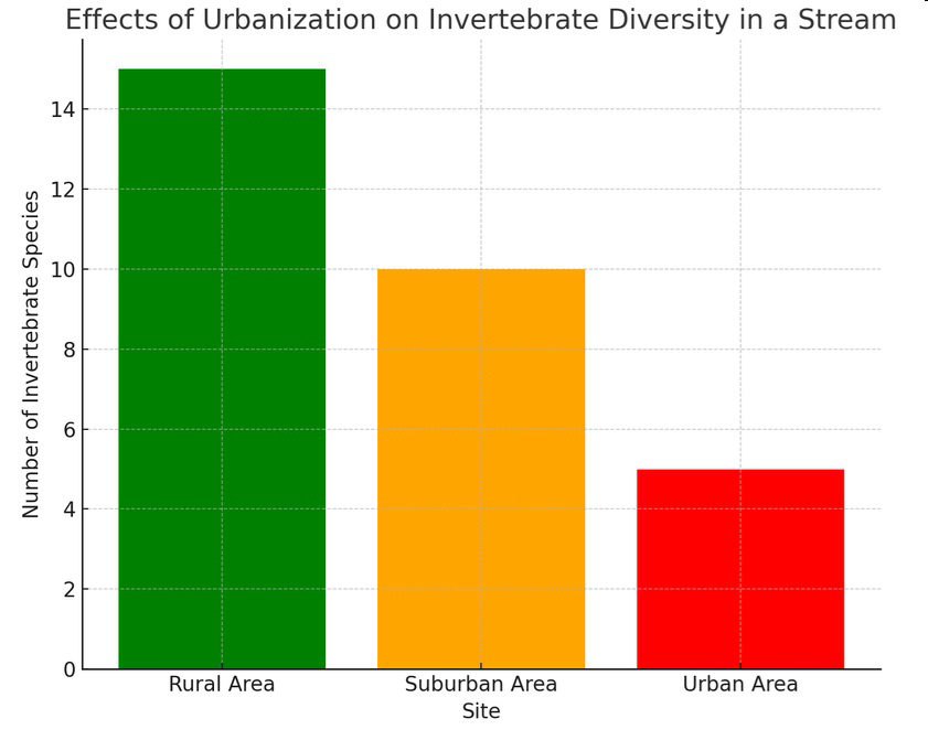 Bar graph showing number of invertebrate species at rural, suburban, and urban sites in a stream.