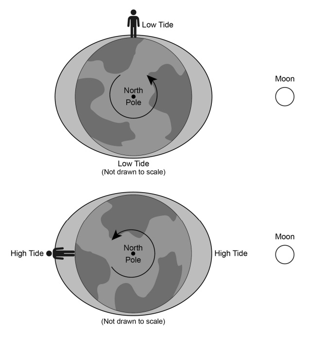Models showing Earth, Moon, and positions with low tide and high tide six hours apart.