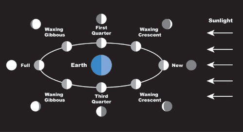 Diagram showing the moon phases around Earth and direction of sunlight