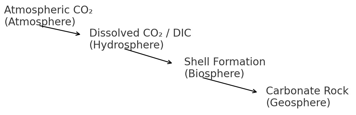 Flow diagram showing movement of carbon from atmospheric CO2 in the atmosphere to dissolved CO2 in the hydrosphere, to shell formation in the biosphere, and finally to carbonate rock in the geosphere.
