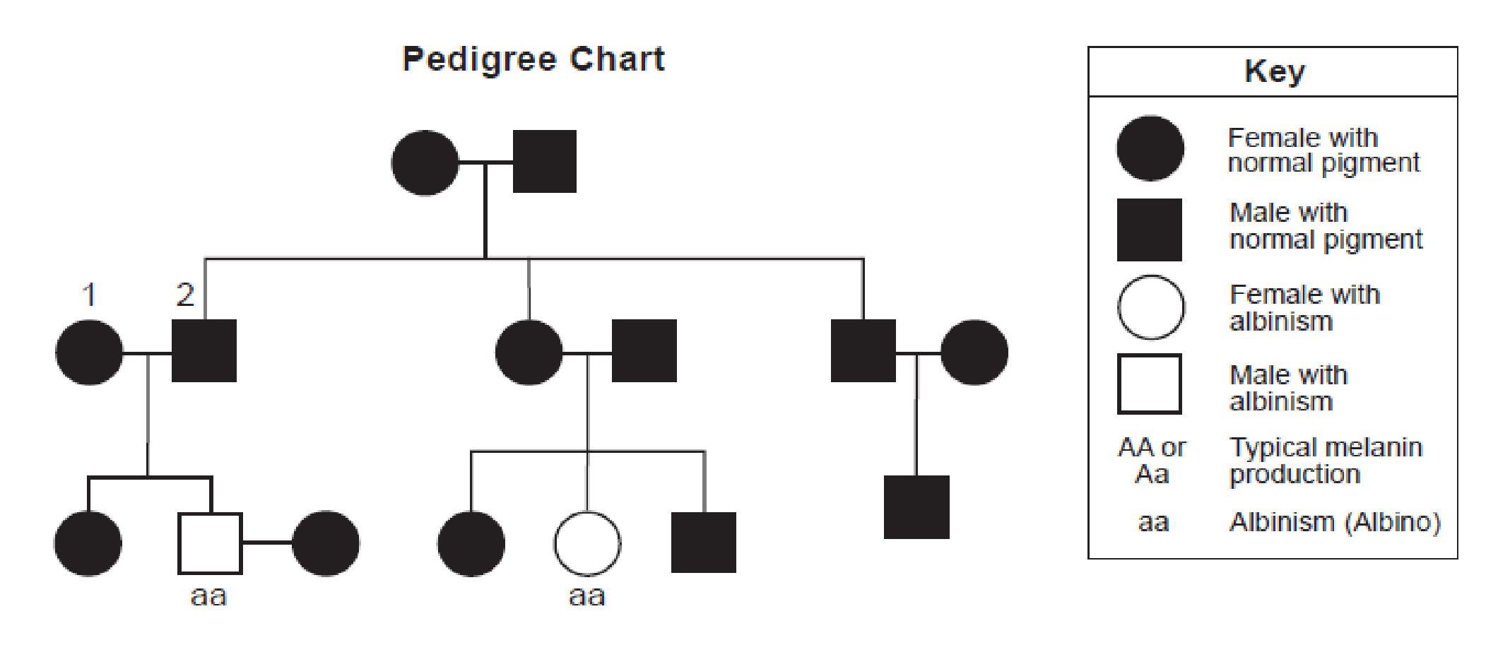 Pedigree chart for albinism with key for male and female individuals with normal pigment or albinism, and genotype labels AA, Aa, and aa.