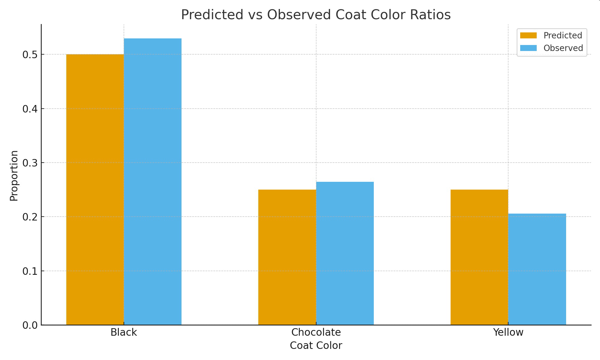 Predicted vs observed coat color ratios