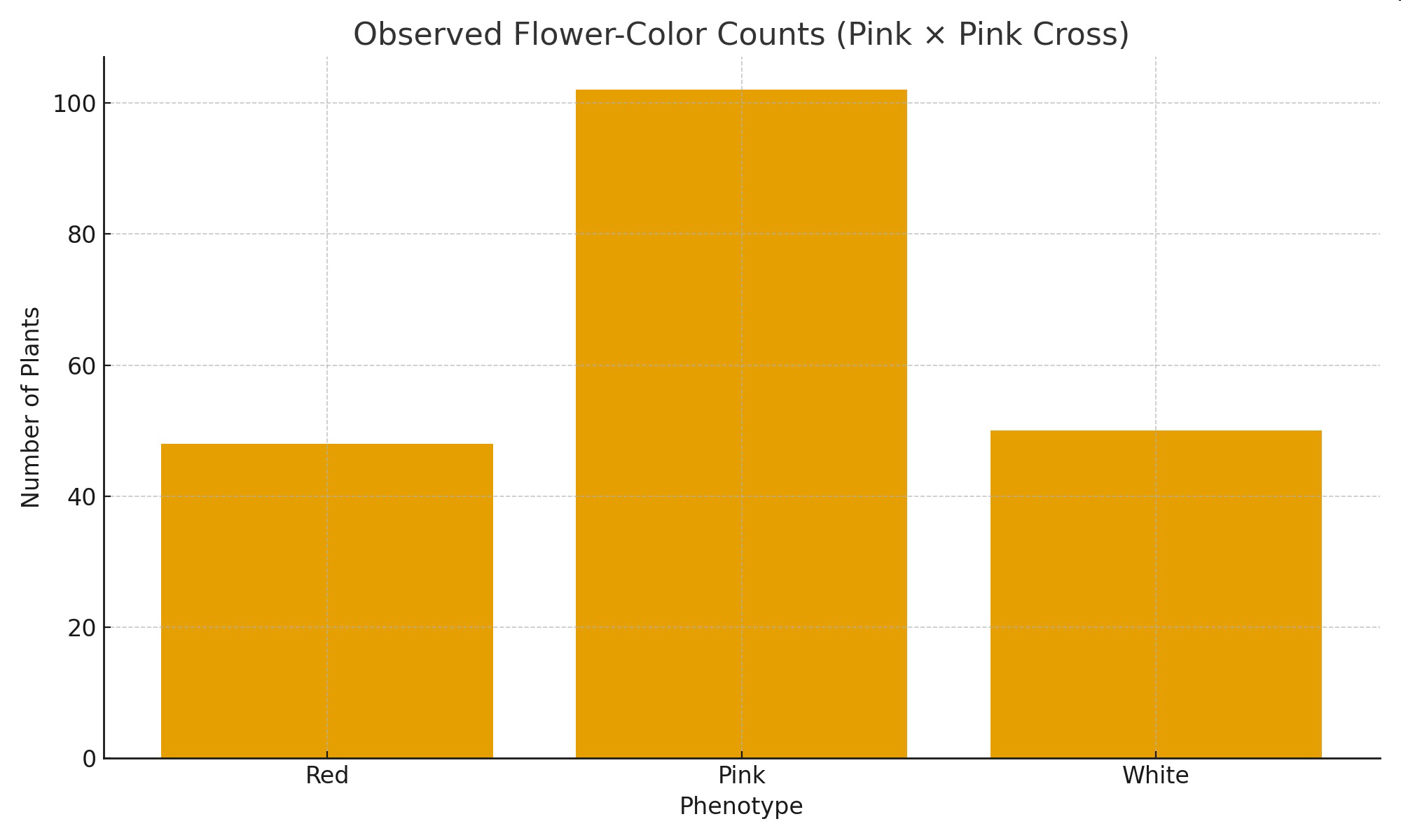 null Observed flower-color counts bar graph for red, pink, and white phenotypes