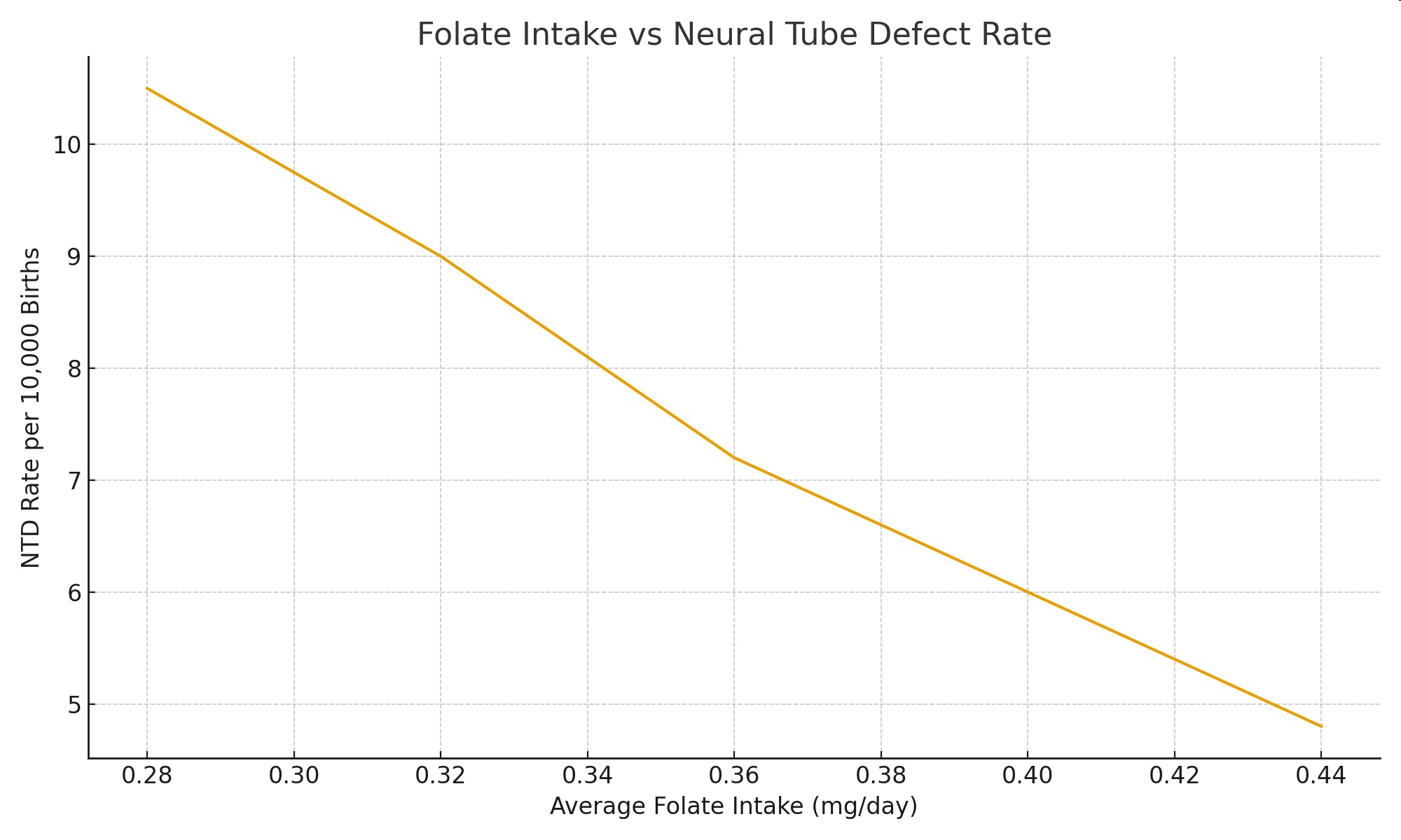 Line graph of folate intake versus neural tube defect rate.