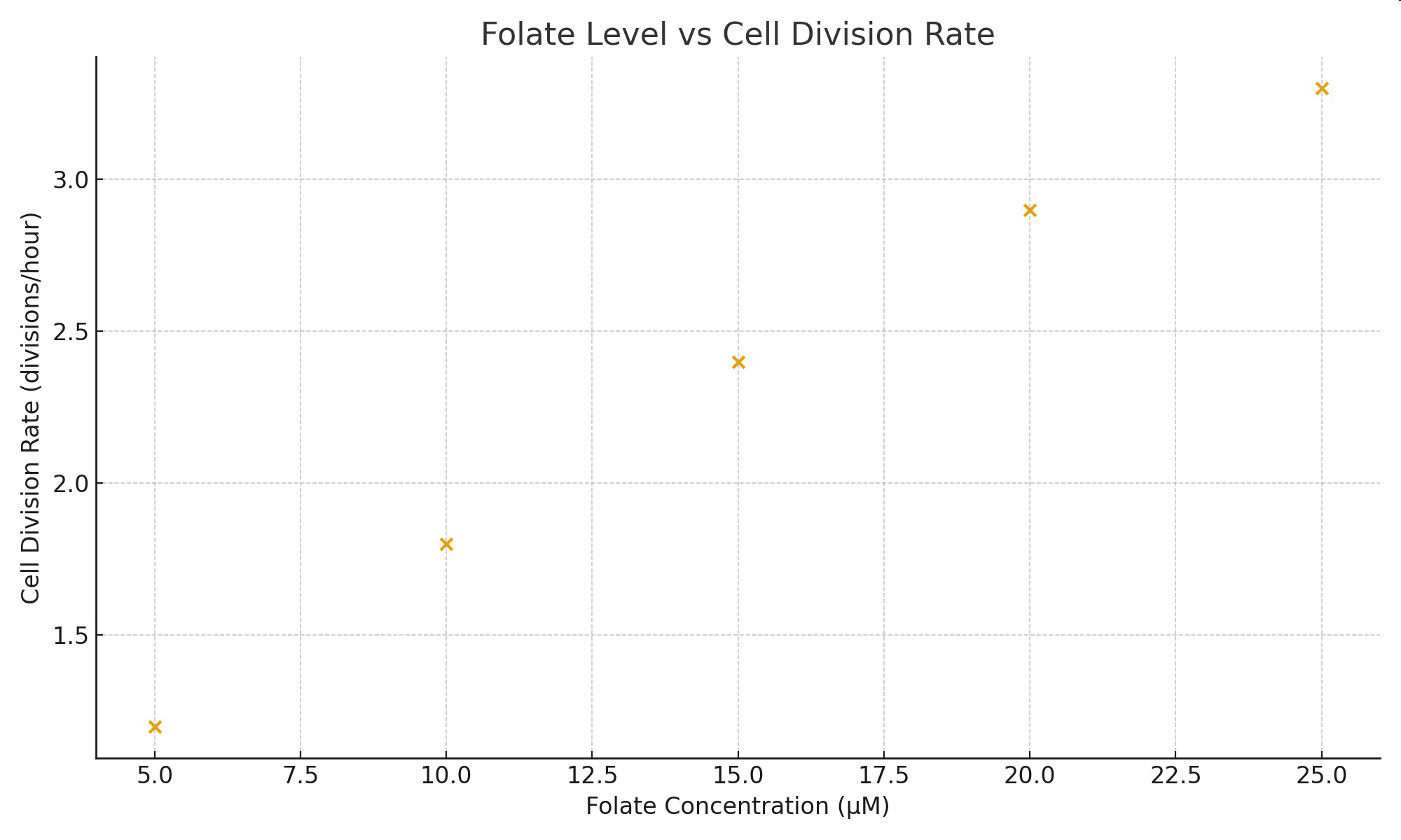 Scatter plot titled 'Folate Level vs Cell Division Rate' showing increasing cell division rate with higher folate concentration.