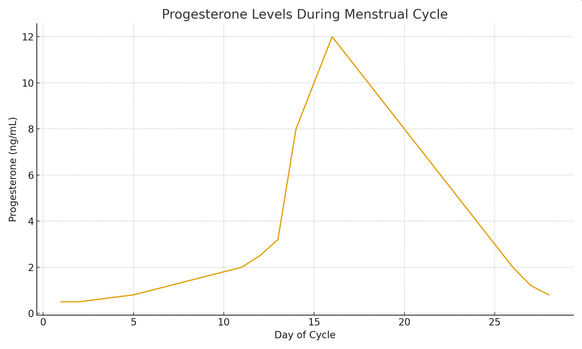 Line graph of progesterone levels during menstrual cycle versus day of cycle.