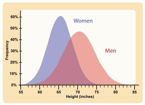 Overlapping bell curves showing the frequency distribution of heights for women and men.