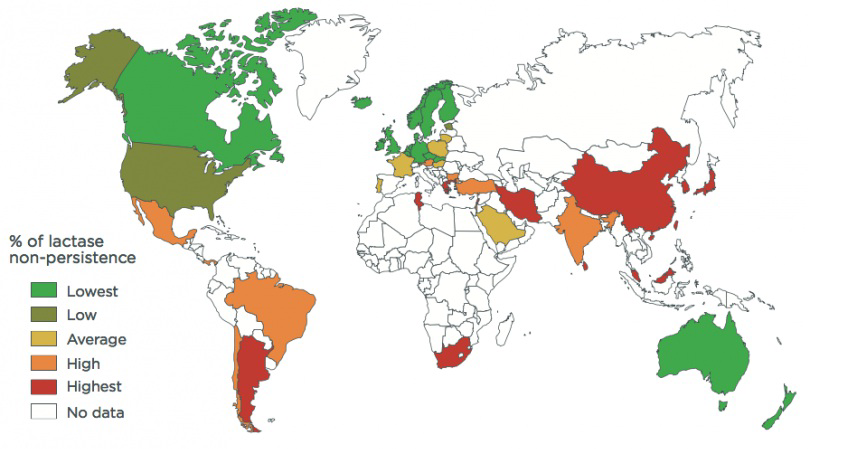 null World map showing percentages of lactase non-persistence by country
