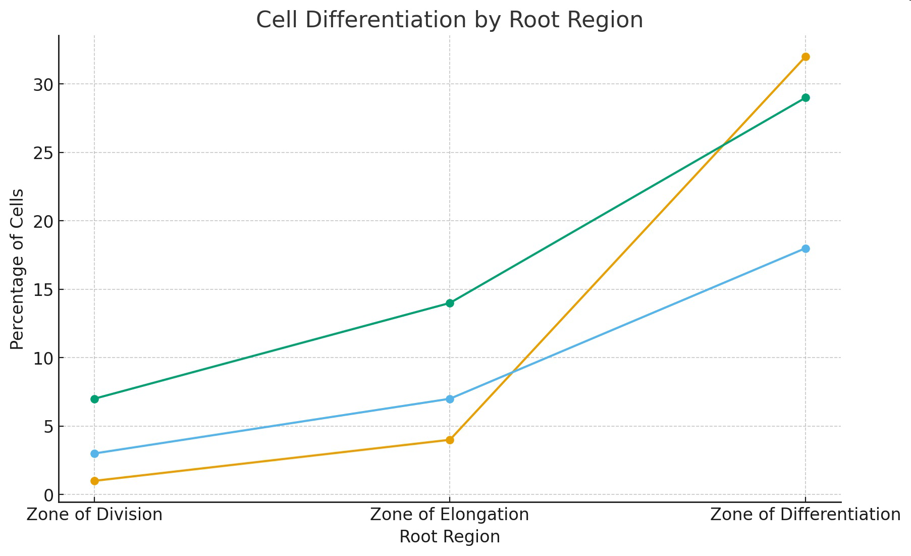 Graph titled Cell Differentiation by Root Region showing percentage of cells in different regions for root hair, xylem, and cortex cells.