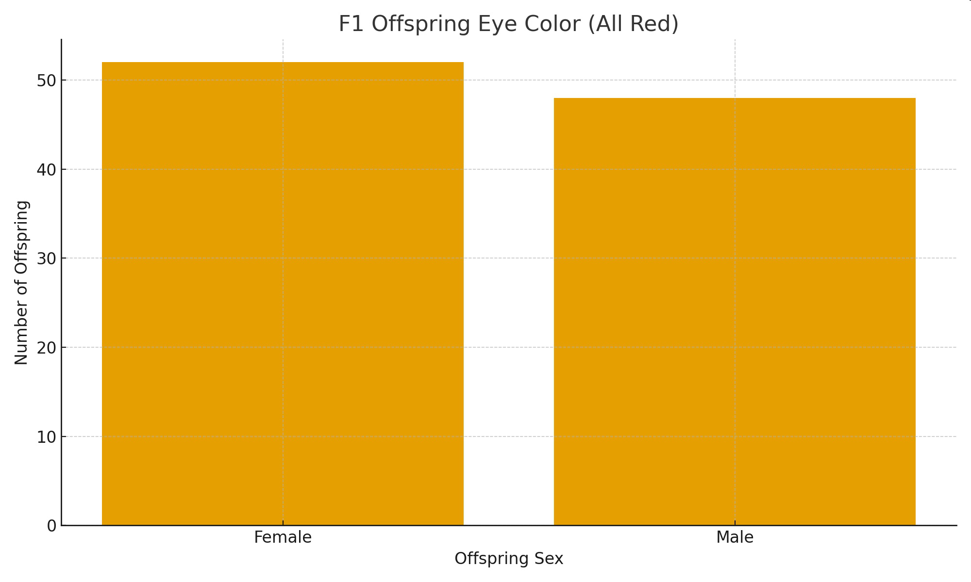 Graph of F1 offspring eye color (all red) by offspring sex