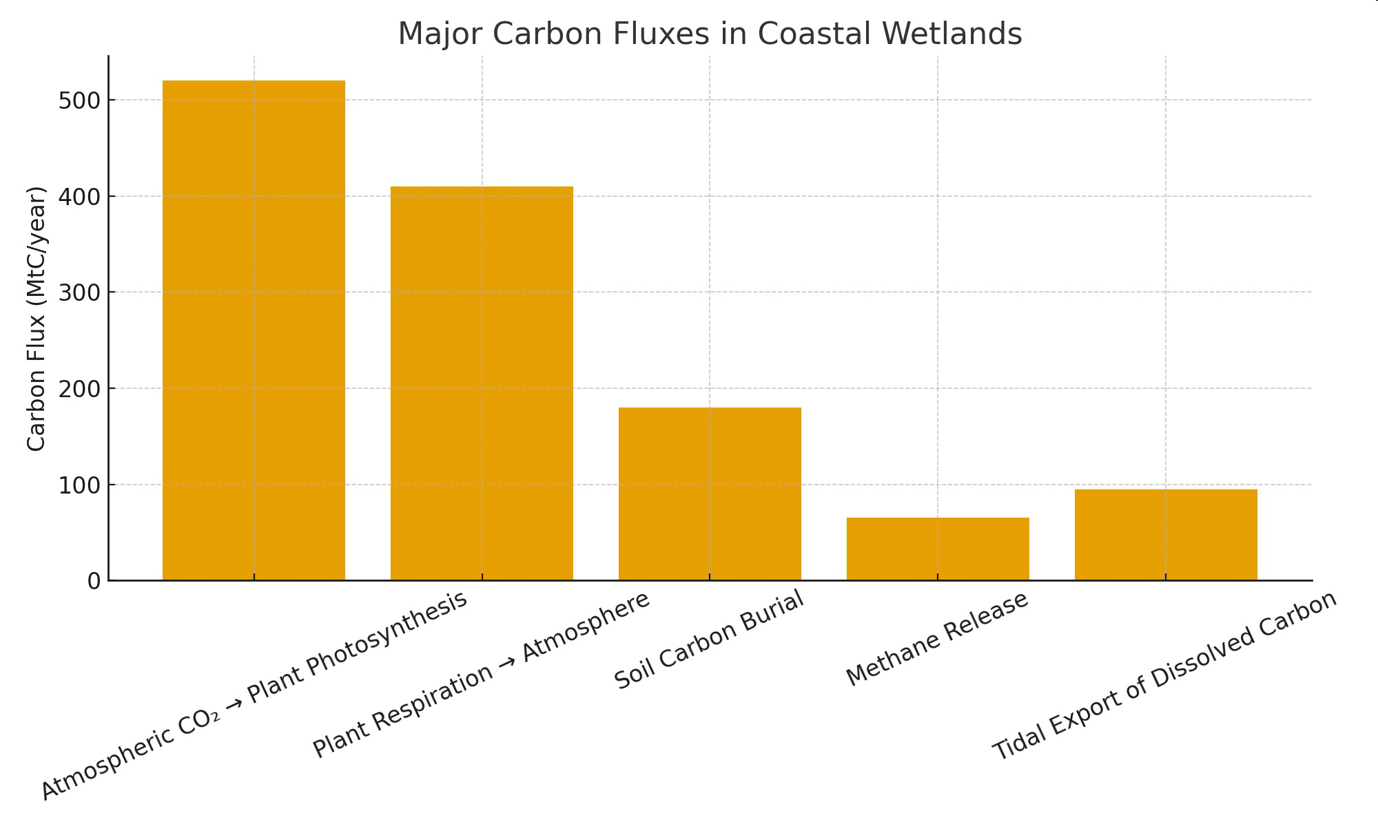 null Major Carbon Fluxes in Coastal Wetlands bar graph