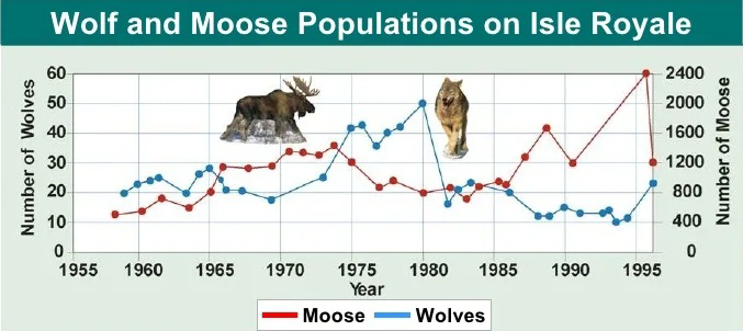 Wolf and Moose Populations on Isle Royale graph