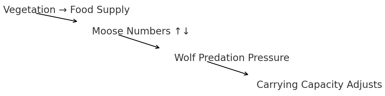 Diagram showing Vegetation leading to Food Supply, Moose Numbers increasing or decreasing, Wolf Predation Pressure, and Carrying Capacity Adjusts