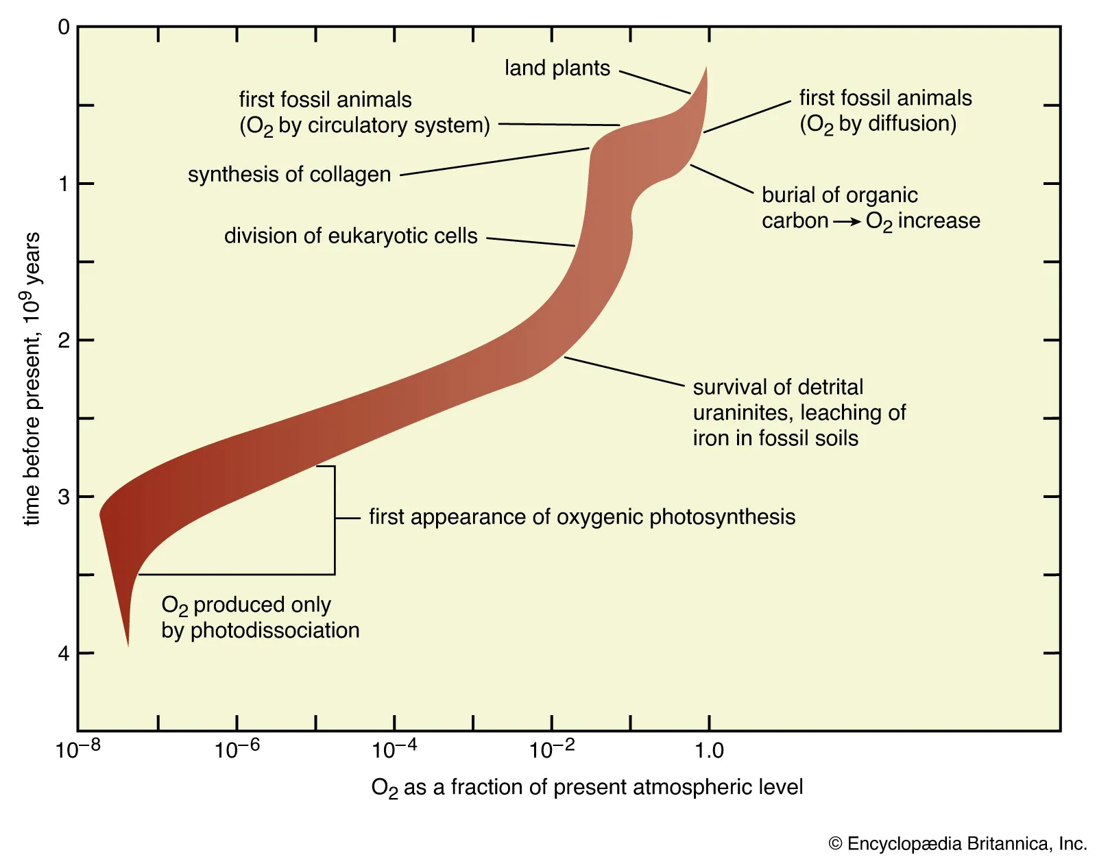 Diagram showing timeline of atmospheric O2 levels and major biological events including first appearance of oxygenic photosynthesis, land plants, and fossil animals.